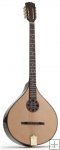 Ozark Deluxe Concert Bouzouki