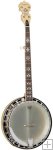 Tanglewood Cove Creek Pro Banjo