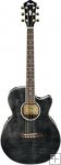 Ibanez AEG 24 Electro Acoustic Guitar Ibanez AEG 24 Electro Acoustic Guitar