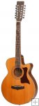 Tanglewood TW145/12 CE Electro Acoustic 12 String