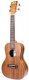 Uma UK-15.SC Concert Ukulele