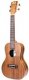 Uma UK-15.SC Concert Ukulele