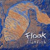 Flook-"Flatfish"