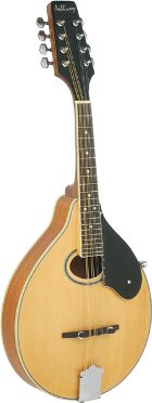 Ashbury AM50N Mandolin -Natural Finish